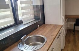 Studio de închiriat, etaj 1, aproape de Universitatea Cuza și UMF