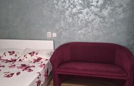 Studio de închiriat, etaj 1, aproape de Universitatea Cuza și UMF