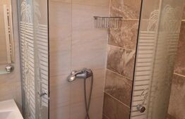 Studio de închiriat, etaj 1, aproape de Universitatea Cuza și UMF