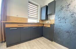 Apartament de 2 camere, mobilat si utilat, zona Tatarasi