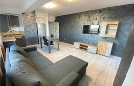 Apartament de 2 camere, mobilat si utilat, zona Tatarasi