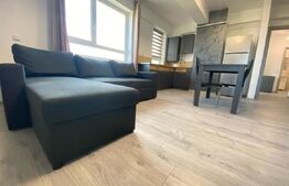 Apartament de 2 camere, mobilat si utilat, zona Tatarasi