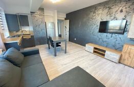 Apartament de 2 camere, mobilat si utilat, zona Tatarasi