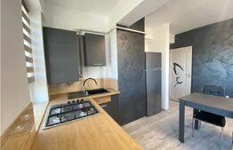 Apartament de 2 camere, mobilat si utilat, zona Tatarasi