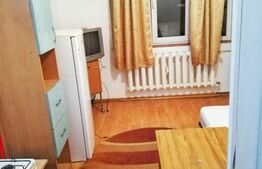 Camera camin 17 mp, zona Bularga