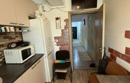 Apartament 2 camere, 54 mp utili totali, Miroslava