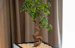 Apartament cu 2 camere, Premium, 57 mp, Silk District