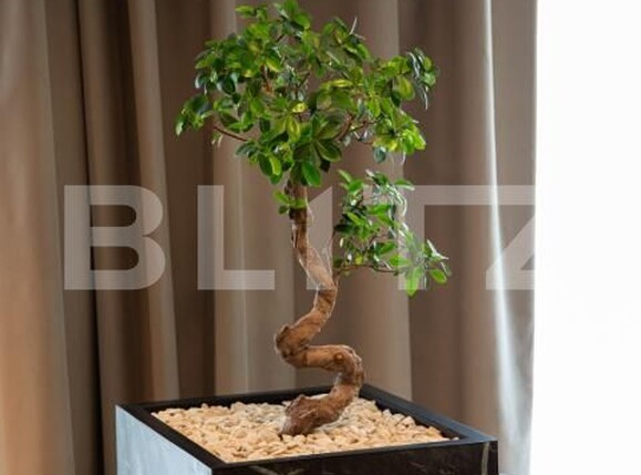 Apartament de vânzare 2 camere Baza 3 - 175847AV | BLITZ Iași | Poza5