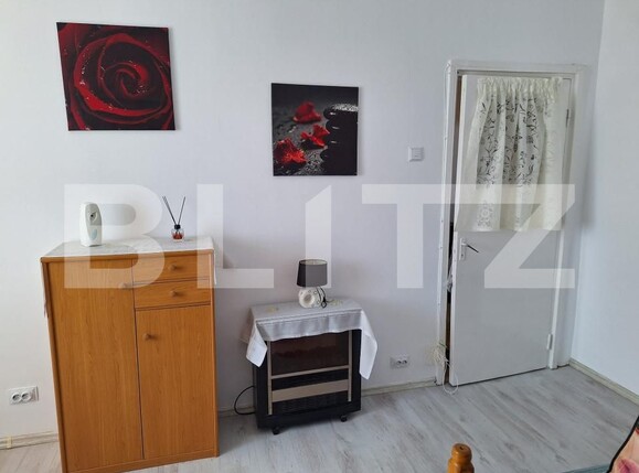 Garsonieră de închiriat Alexandru cel Bun - 175864AI | BLITZ Iași | Poza8