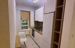 Apartament de închiriat, 2 camere | Palas |