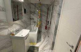 Apartament de închiriat, 2 camere | Palas |