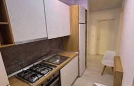 Apartament de închiriat, 2 camere | Palas |