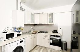 Apartament cu 3 camere, 55 mp, Valea Lupului