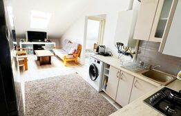 Apartament cu 3 camere, 55 mp, Valea Lupului