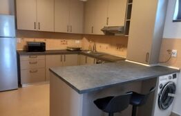 BLITZ – Apartament 3 camere la parter de vilă | Intrare separată | 