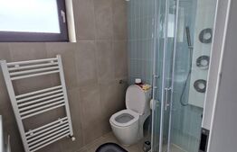 Casa cu 4 camere, cu beci si garaj, in Tomesti