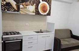 Inchiriere apartament de 2 camere, Lazar Residence – Palas Mall