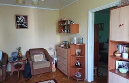 Apartament 2 camere, zona Podu Rosu - Primaverii