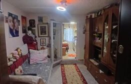 Apartament 1 camera 23 mp - Dancu