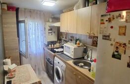 Apartament 1 camera 23 mp - Dancu