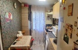 Apartament 1 camera 23 mp - Dancu