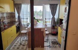 Apartament de vanzare, cu 3 camere, 66 mp, zona Pacurari