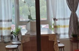 Apartament de vanzare, cu 3 camere, 66 mp, boxa+parcare, zona Pacurari