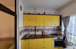 Apartament de vanzare, cu 3 camere, 66 mp, boxa+parcare, zona Pacurari