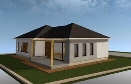 Casa plan parter in Cornesti - Miroslava