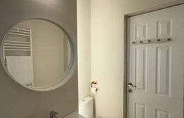 Apartament 2 camere de inchiriat, zona Podu Roș 