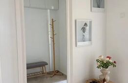 Apartament 2 camere de inchiriat, zona Podu Roș 