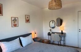 Apartament 2 camere de inchiriat, zona Podu Roș 