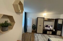 Garsoniera de închiriat, 31 mp, zona centrala