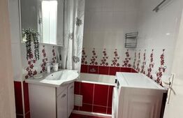 Garsoniera de închiriat, 31 mp, zona centrala