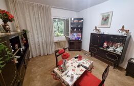 Garsonieră de vanzare, 32 mp, zona Frumoasa