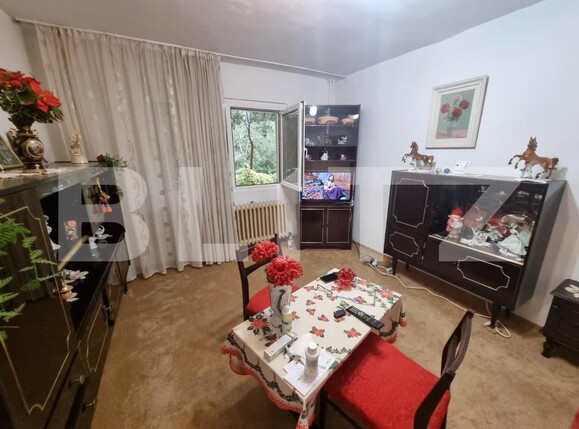 Garsonieră de vânzare Frumoasa - 176741AV | BLITZ Iași | Poza4