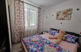 Apartament 3 camere, 76mp, decomandat, Pacurari