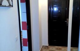 Apartament Central, 1 cameră, la 5 minute de UMF, vedere superbă asupra orașului