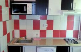 Apartament Central, 1 cameră, la 5 minute de UMF, vedere superbă asupra orașului