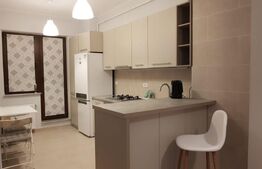 Apartament 2 camere | zona Palas | loc de parcare inclus