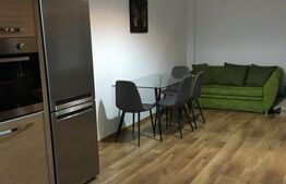 Apartament 2 camere, 40mp, zona Palas