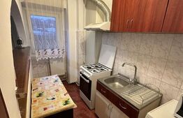 Apartament de inchiriat, cu 1 camera, zona Gării