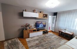 Apartament de inchiriat, cu 3 camere, lux, zona Podu Ros
