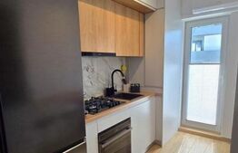 Apartament cu 2 camere de inchiriat, zona Pacurari Kaufland