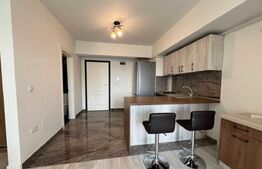 Apartament de inchiriat cu o camera, 40 mp, zona Tătărași 