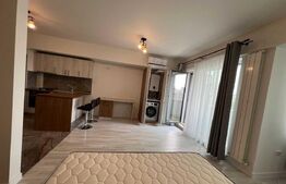 Apartament de inchiriat cu o camera, 40 mp, zona Tătărași 