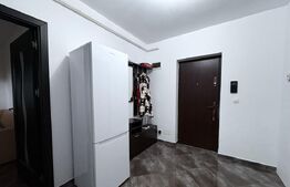 Apartament de inchiriat, cu 1 camera, 55 mp, zona Lake Residence