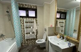 Apartament de inchiriat, cu 1 camera, 55 mp, zona Lake Residence