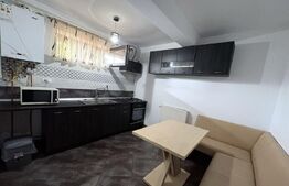 Apartament de inchiriat, cu 1 camera, 55 mp, zona Lake Residence