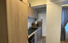 Apartament de închiriat 3 camere Tatarasi - 177534AI - Poza 1 din 8 | BLITZ Iași | Poza6